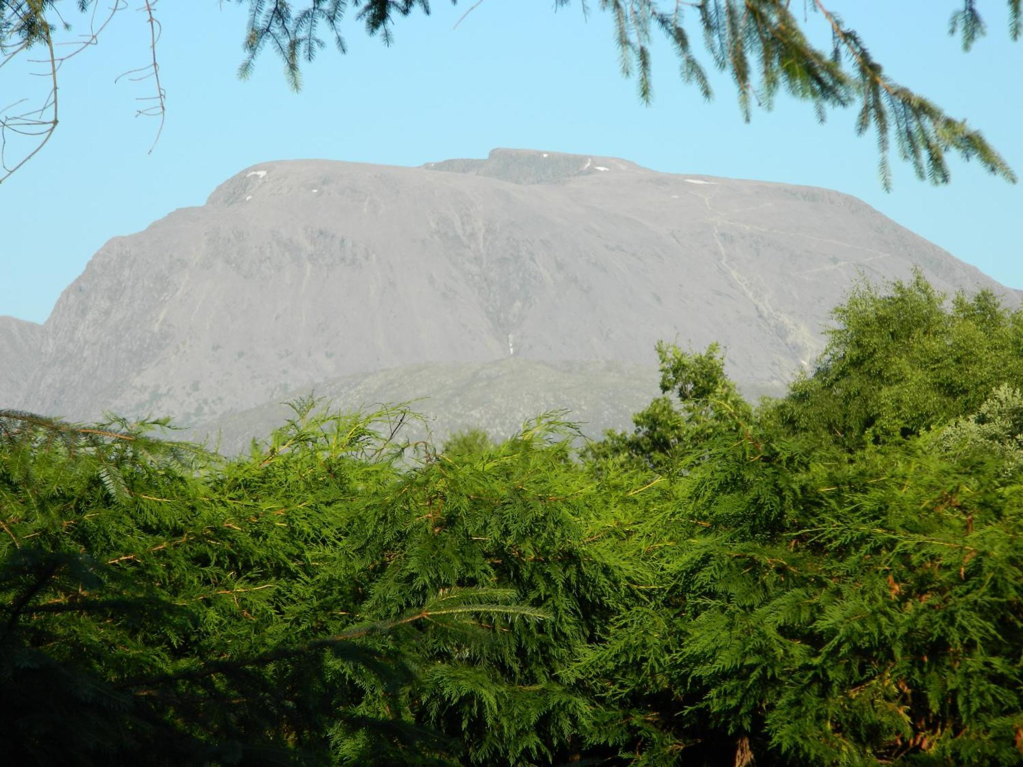 Tom Beag - Ben Nevis View Rooms 威廉堡 外观 照片