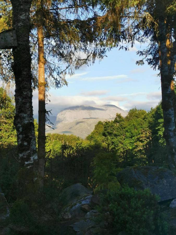 Tom Beag - Ben Nevis View Rooms 威廉堡 外观 照片