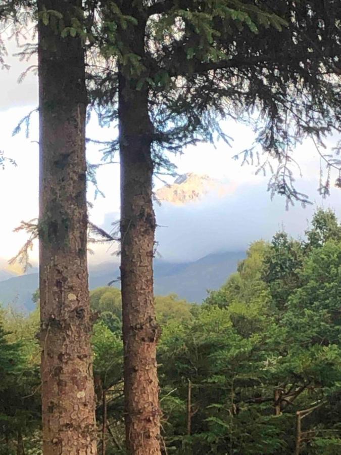 Tom Beag - Ben Nevis View Rooms 威廉堡 外观 照片
